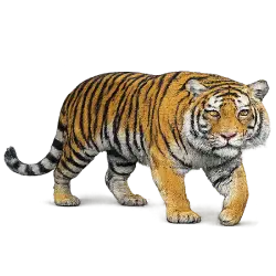 Malayan Tiger (Panthera tigris jacksoni) thumbnail image on AnimalDex
