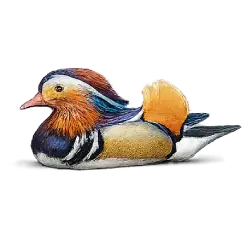 Mandarin Duck (Aix galericulata) featured animal image on AnimalDex