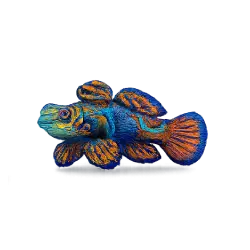 Mandarinfish (Synchiropus splendidus) featured animal image on AnimalDex