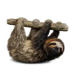 Maned Sloth animal lesson image on AnimalDex
