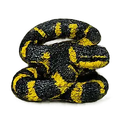 Mangrove Snake (Boiga dendrophila) featured animal image on AnimalDex