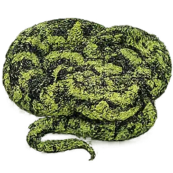 Mangshan Pit Viper (Protobothrops mangshanensis) featured animal image on AnimalDex