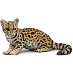 Margay (Leopardus wiedii) featured animal image on AnimalDex