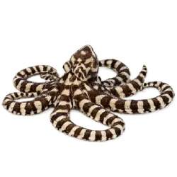 Mimic Octopus (Thaumoctopus mimicus) featured animal image on AnimalDex