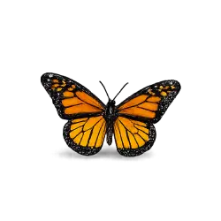 Monarch Butterfly (Danaus plexippus) thumbnail image on AnimalDex