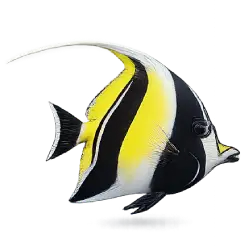 Moorish Idol (Zanclus cornutus) featured animal image on AnimalDex