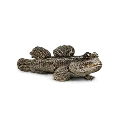 Mudskipper (Periophthalmus argentilineatus) featured animal image on AnimalDex