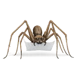 Ogre-faced Spider (Deinopis spinosa) featured animal image on AnimalDex