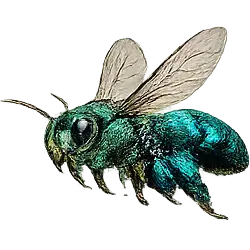 Orchid Bee (Euglossa dilemma) featured animal image on AnimalDex
