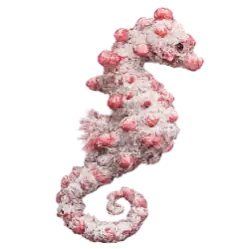 Pygmy Seahorse (Hippocampus bargibanti) featured animal image on AnimalDex
