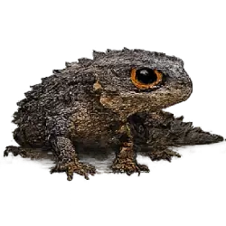 Red-eyed Crocodile Skink (Tribolonotus gracilis) featured animal image on AnimalDex