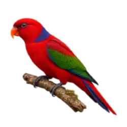 Red Lory (Eos bornea) thumbnail image on AnimalDex