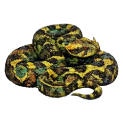 Rhinoceros Viper (Bitis nasicornis) featured animal image on AnimalDex