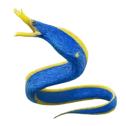 Ribbon Eel (Rhinomuraena quaesita) featured animal image on AnimalDex