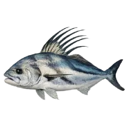 Roosterfish (Nematistius pectoralis) featured animal image on AnimalDex