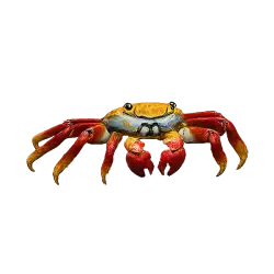 Sally Lightfoot Crab animal lesson image on AnimalDex