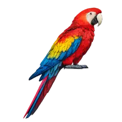 Scarlet Macaw (Ara macao) featured animal image on AnimalDex