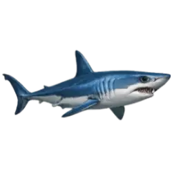 Shortfin Mako (Isurus oxyrinchus) featured animal image on AnimalDex