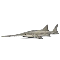 Smalltooth Sawfish (Pristis pectinata) featured animal image on AnimalDex