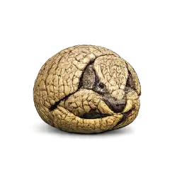 Southern Three-banded Armadillo animal lesson image on AnimalDex