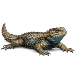 Spiny Lizard