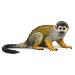 Squirrel Monkey (Saimiri sciureus) featured animal image on AnimalDex