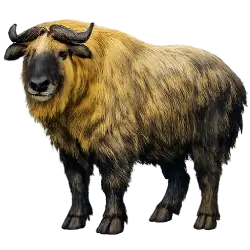 Takin (Budorcas taxicolor) featured animal image on AnimalDex