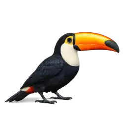 Toco Toucan (Ramphastos toco) featured animal image on AnimalDex