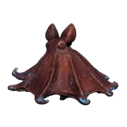 Vampire Squid (Vampyroteuthis infernalis) featured animal image on AnimalDex