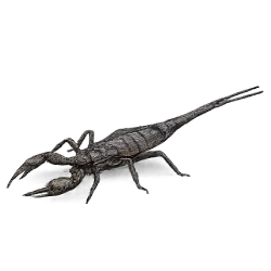 Water Scorpion (Nepa cinerea) featured animal image on AnimalDex