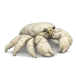 Yeti Crab animal lesson image on AnimalDex