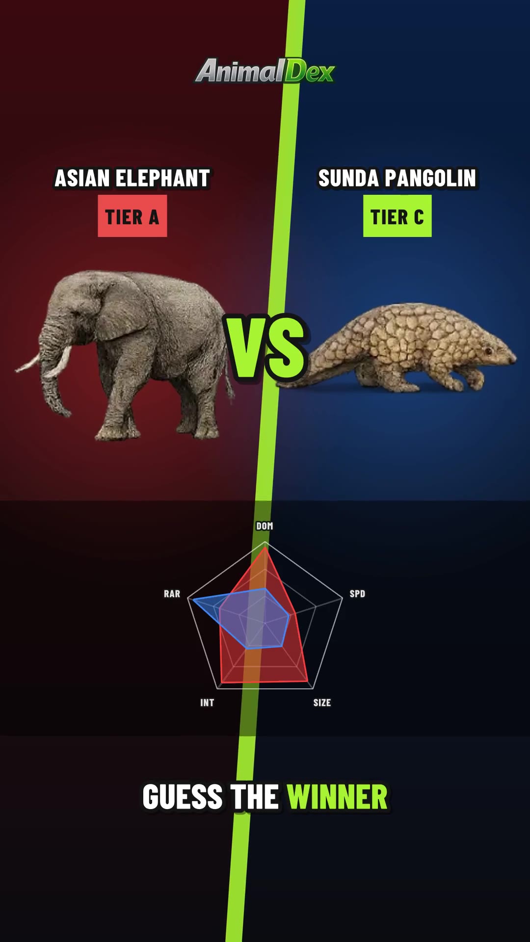 Asian Elephant vs Sunda Pangolin: Guess the Winner