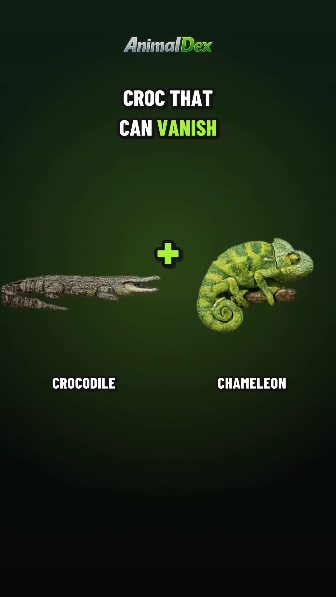 Crocodile + Chameleon: The Color-Changing Ambush Predator