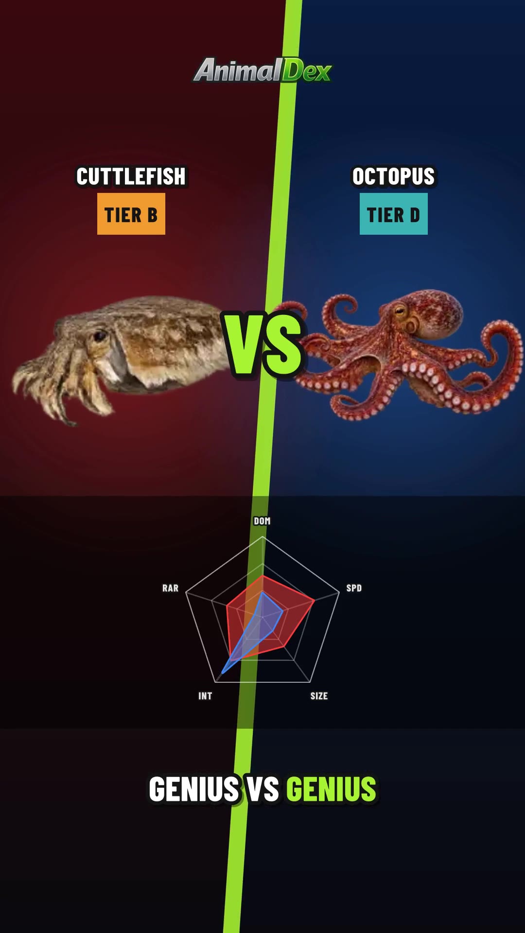 Cuttlefish vs Octopus: Battle of the Ocean Geniuses