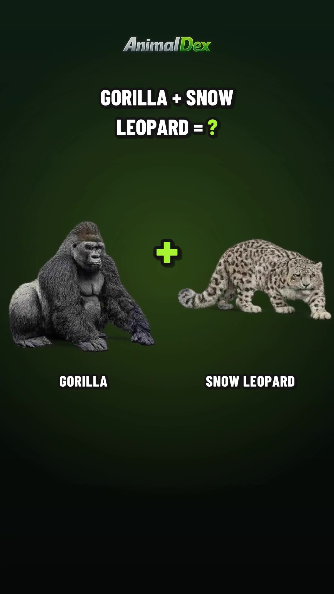 Shadow GorillaLeopard: Silverback Power, Ghost Stealth