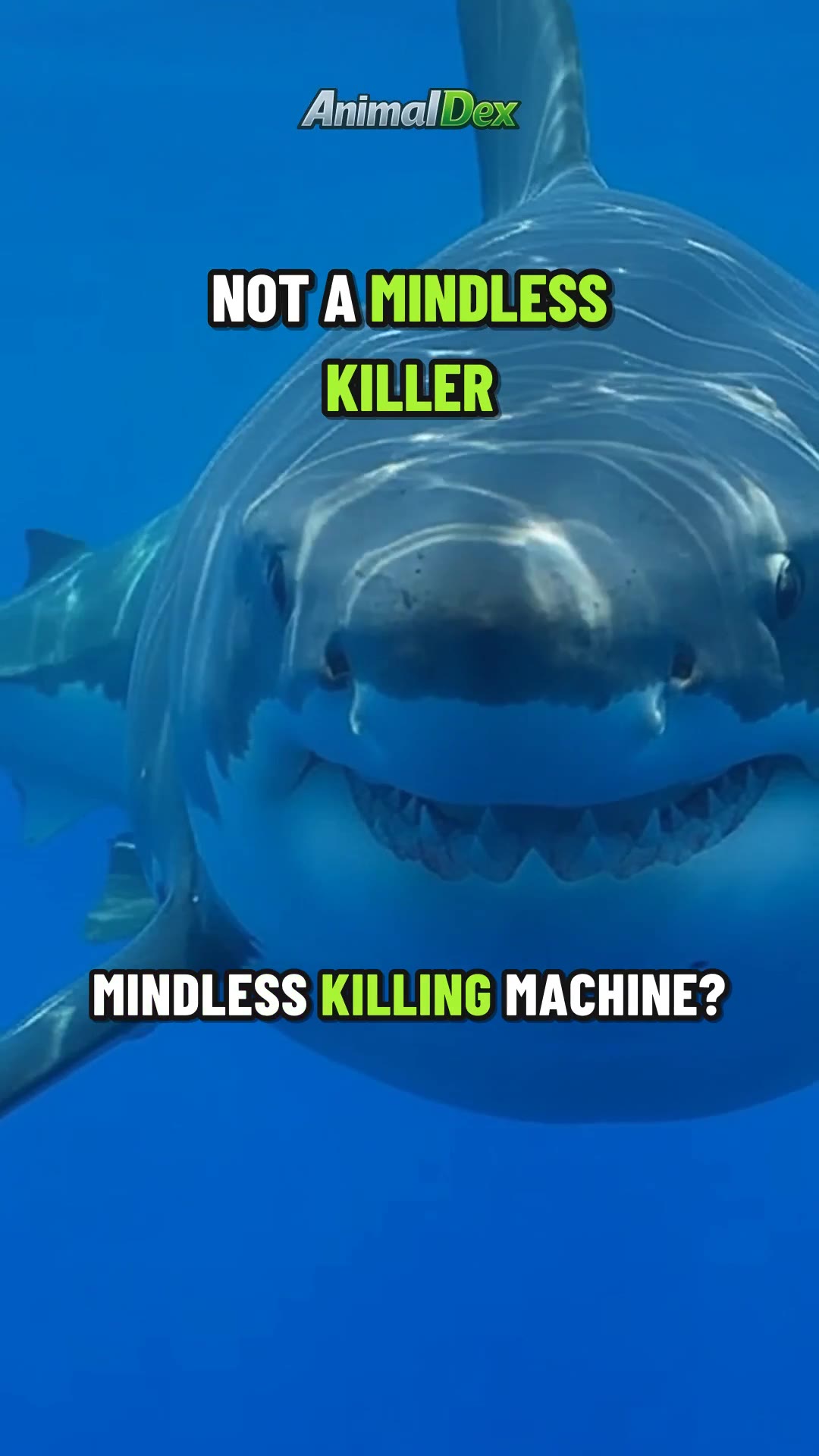Its Deadliest Weapon Isn't the Teeth