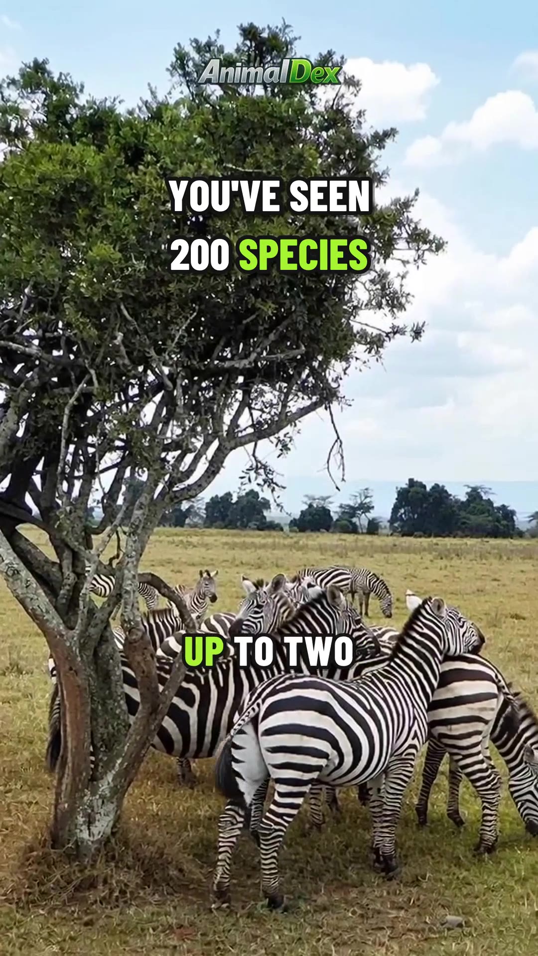 You've Already Seen 200 Animals