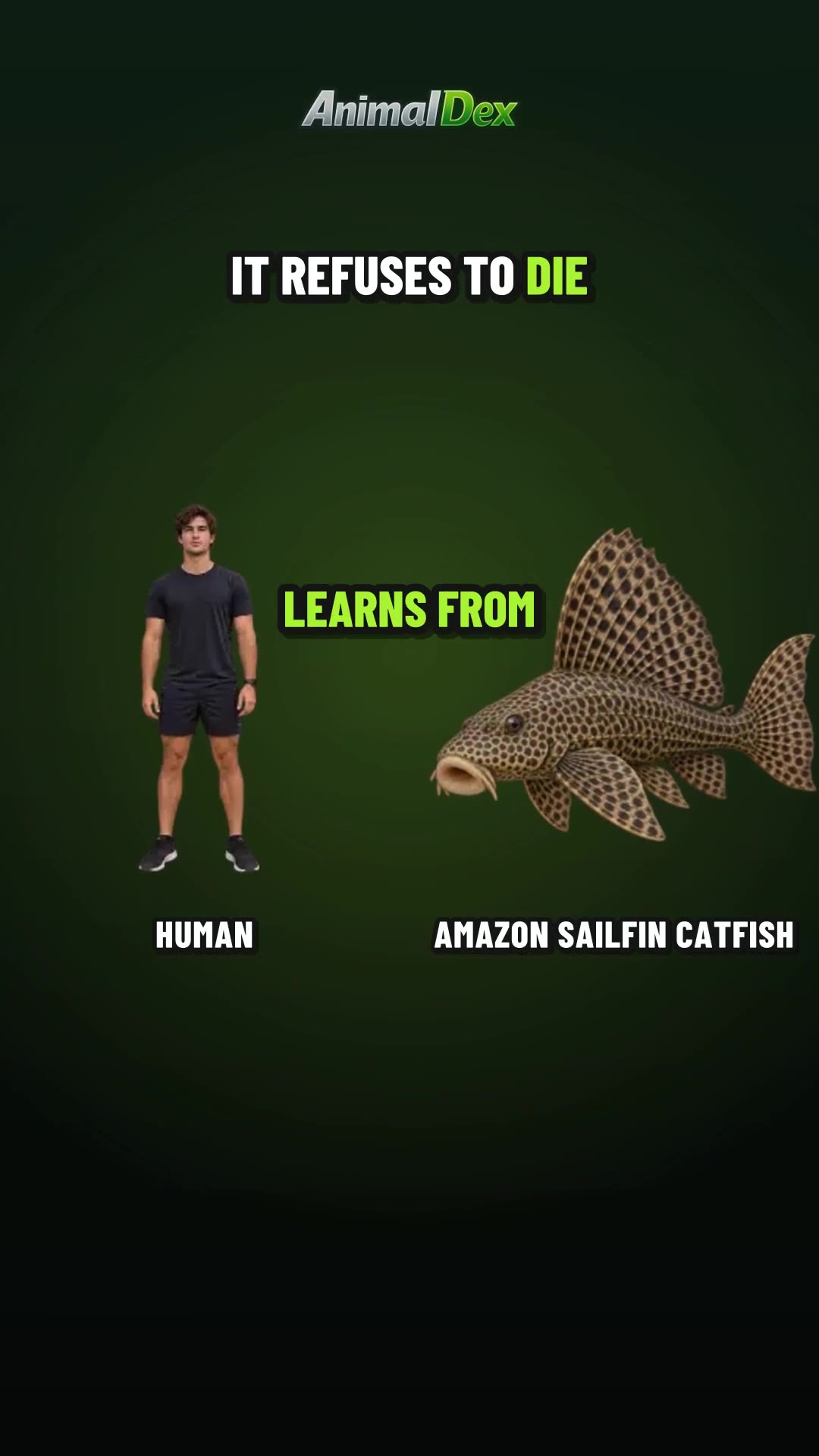 The Fish That Refuses to Die Taught Humans This