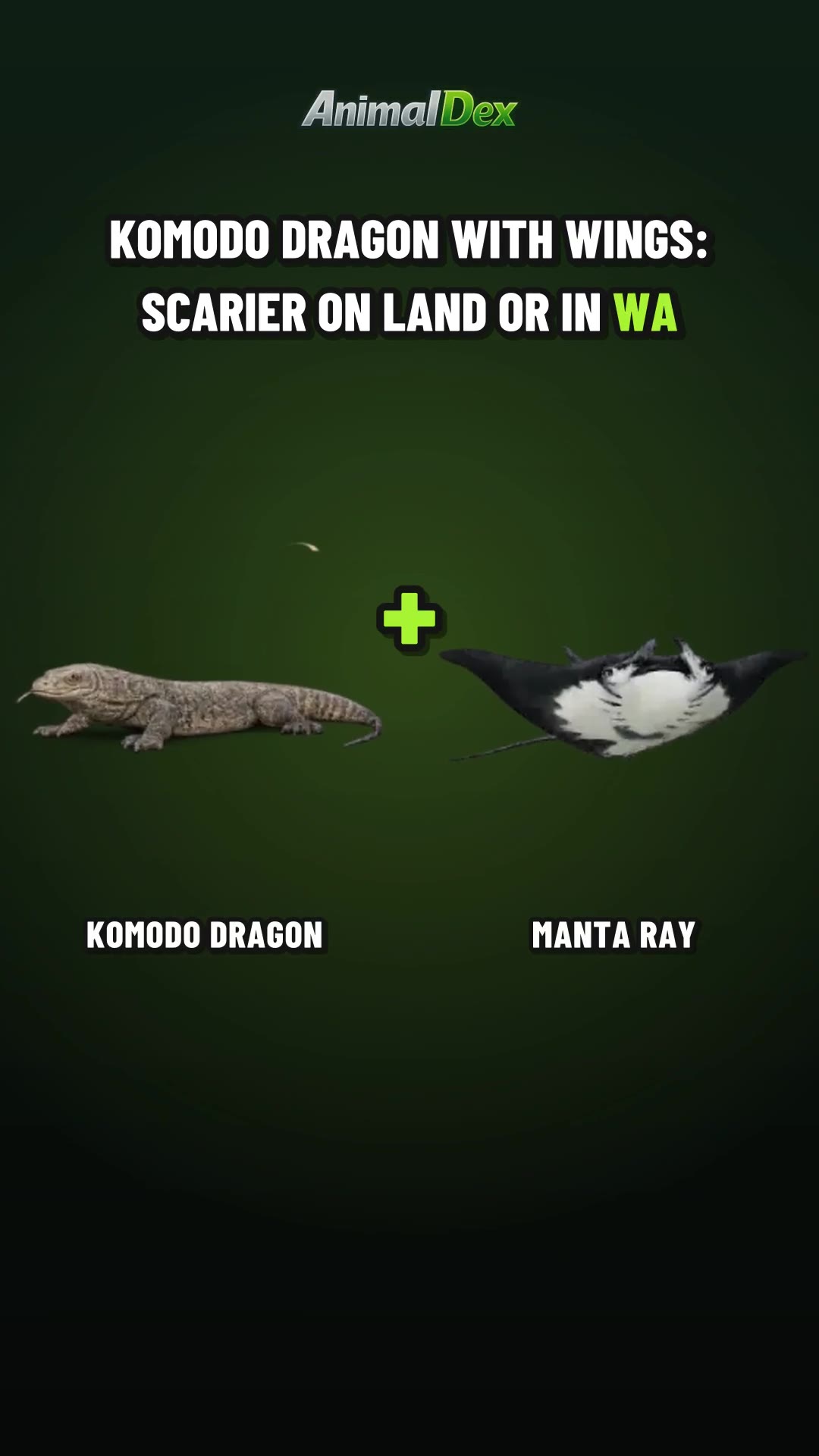 Komodo Dragon With Wings: Scarier on Land or in Water?