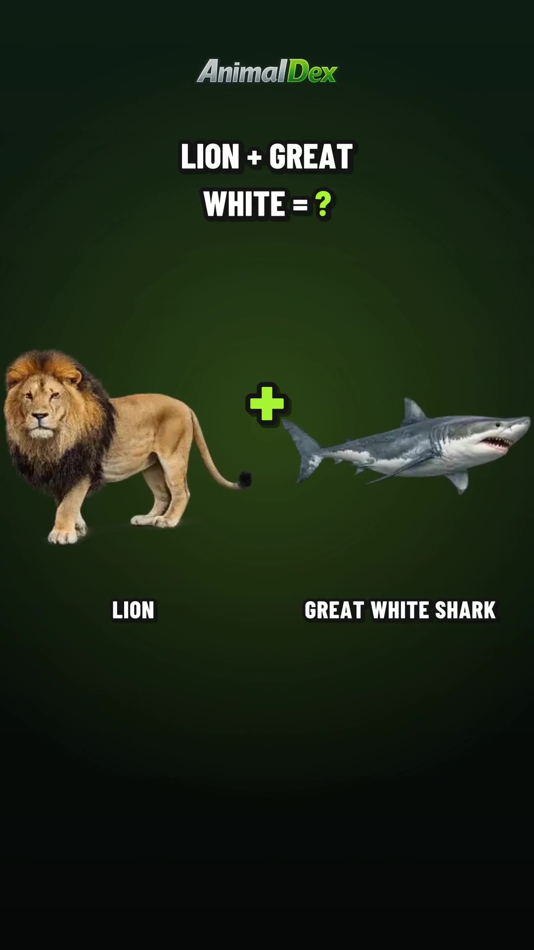 Echo LionShark: The Lion + Great White Shark Hybrid