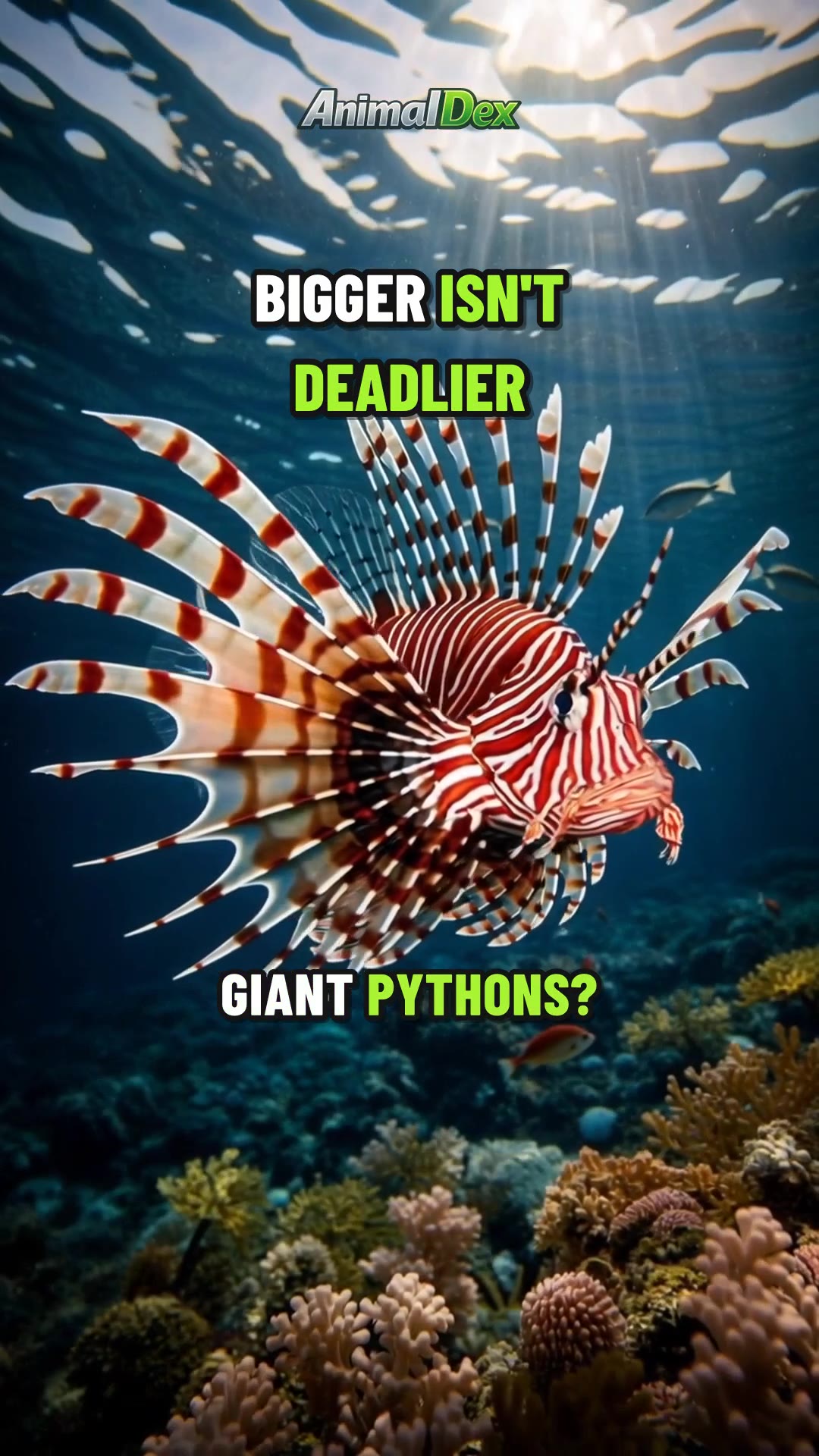 Top 5 Most Invasive Animals on Earth