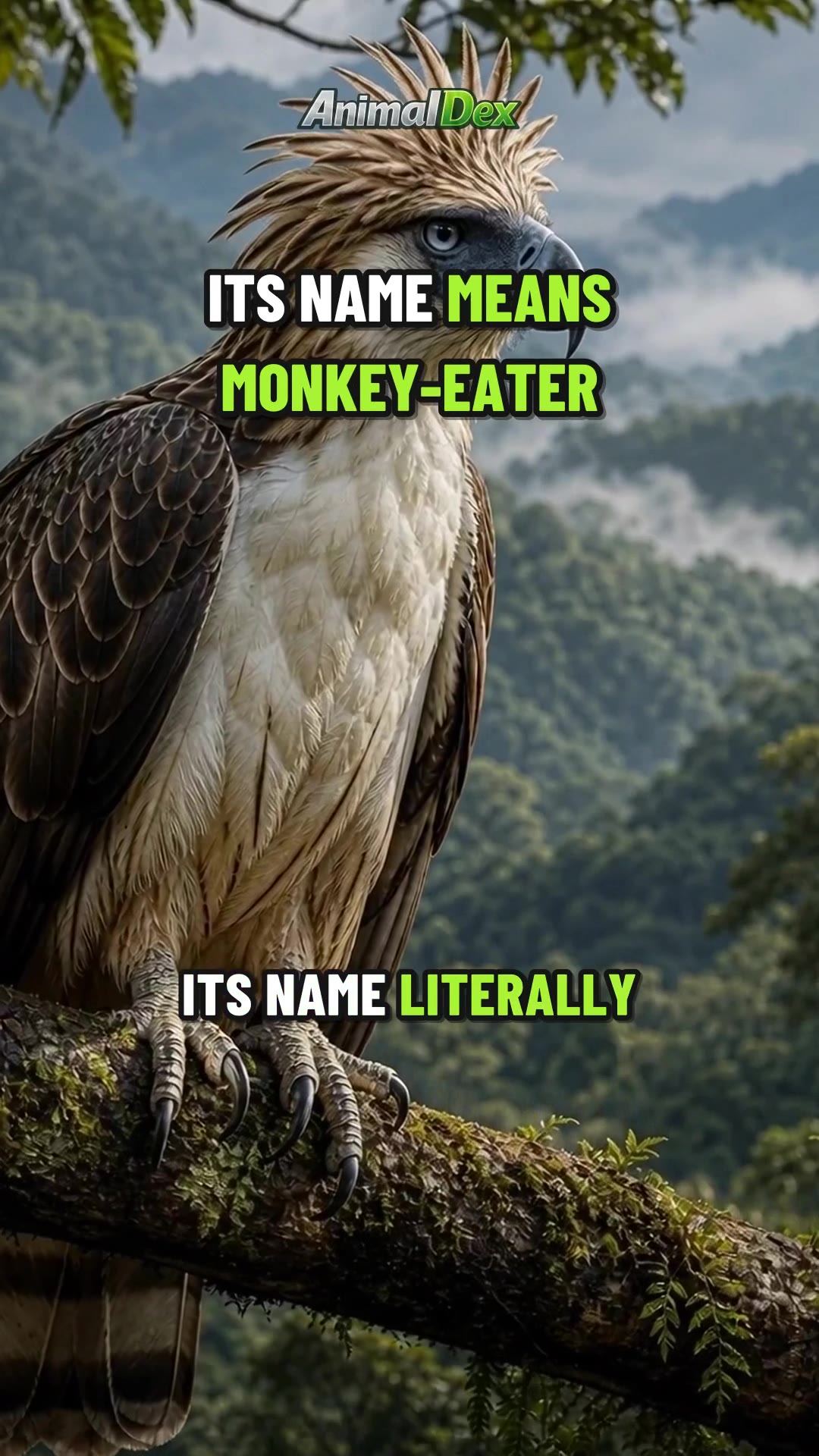 The Monkey-Eater's Real Weapon