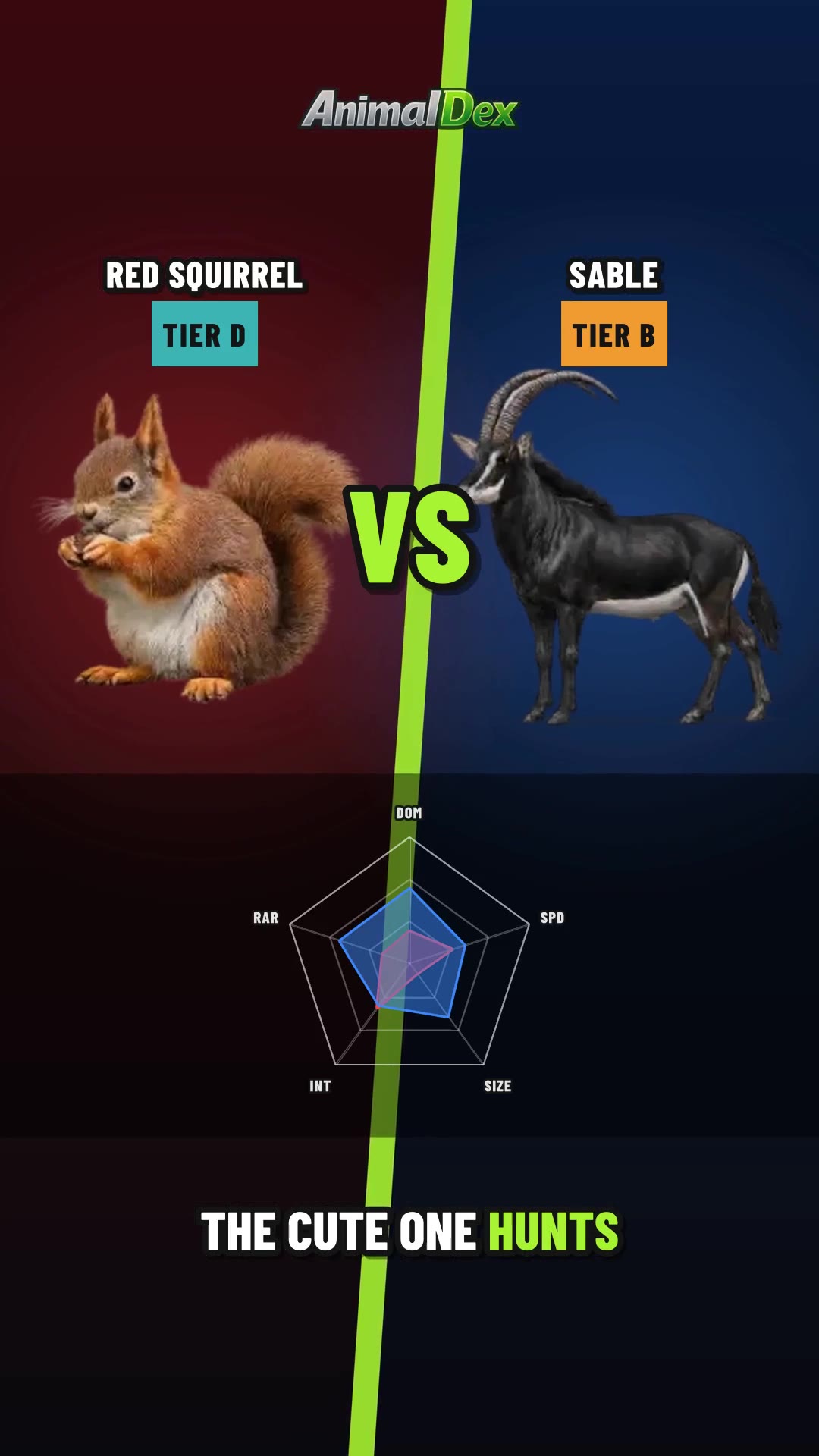 Red Squirrel vs Sable: The Plush Predator Strikes