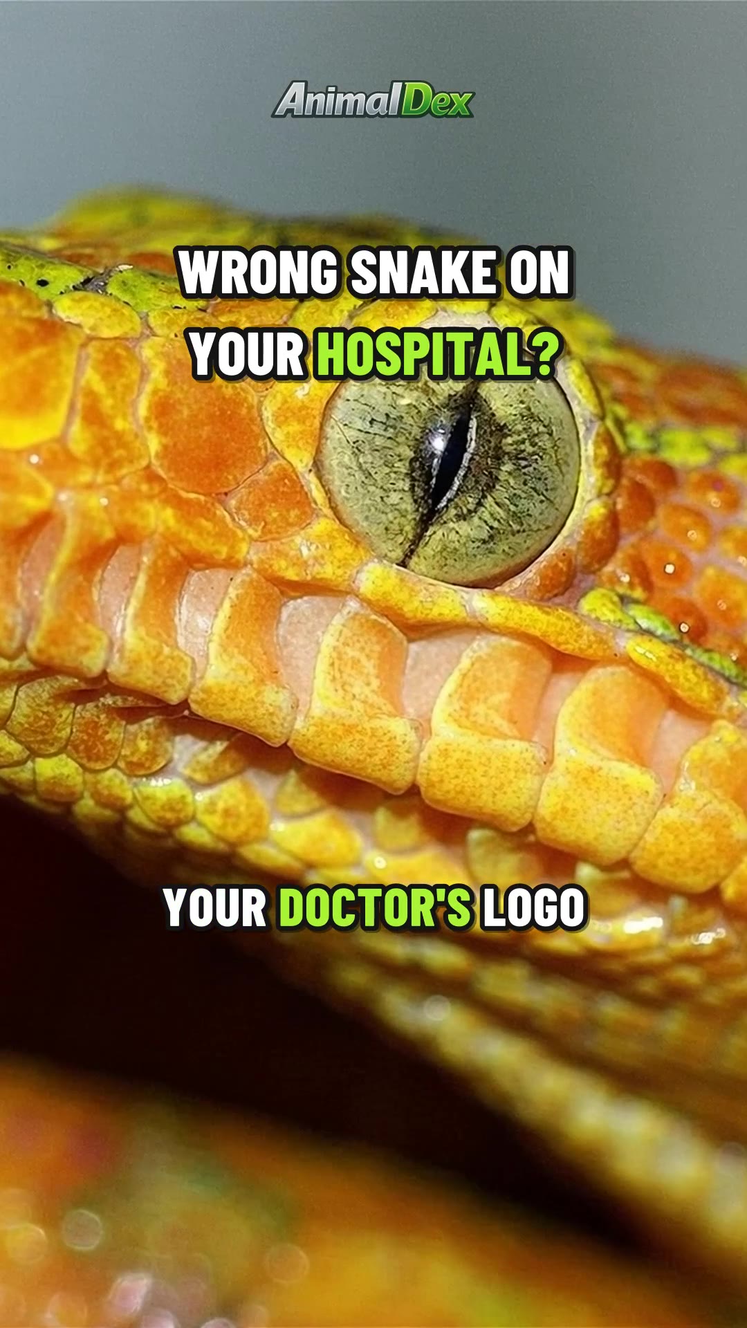 Your Doctor's Logo Might Be the Wrong Snake