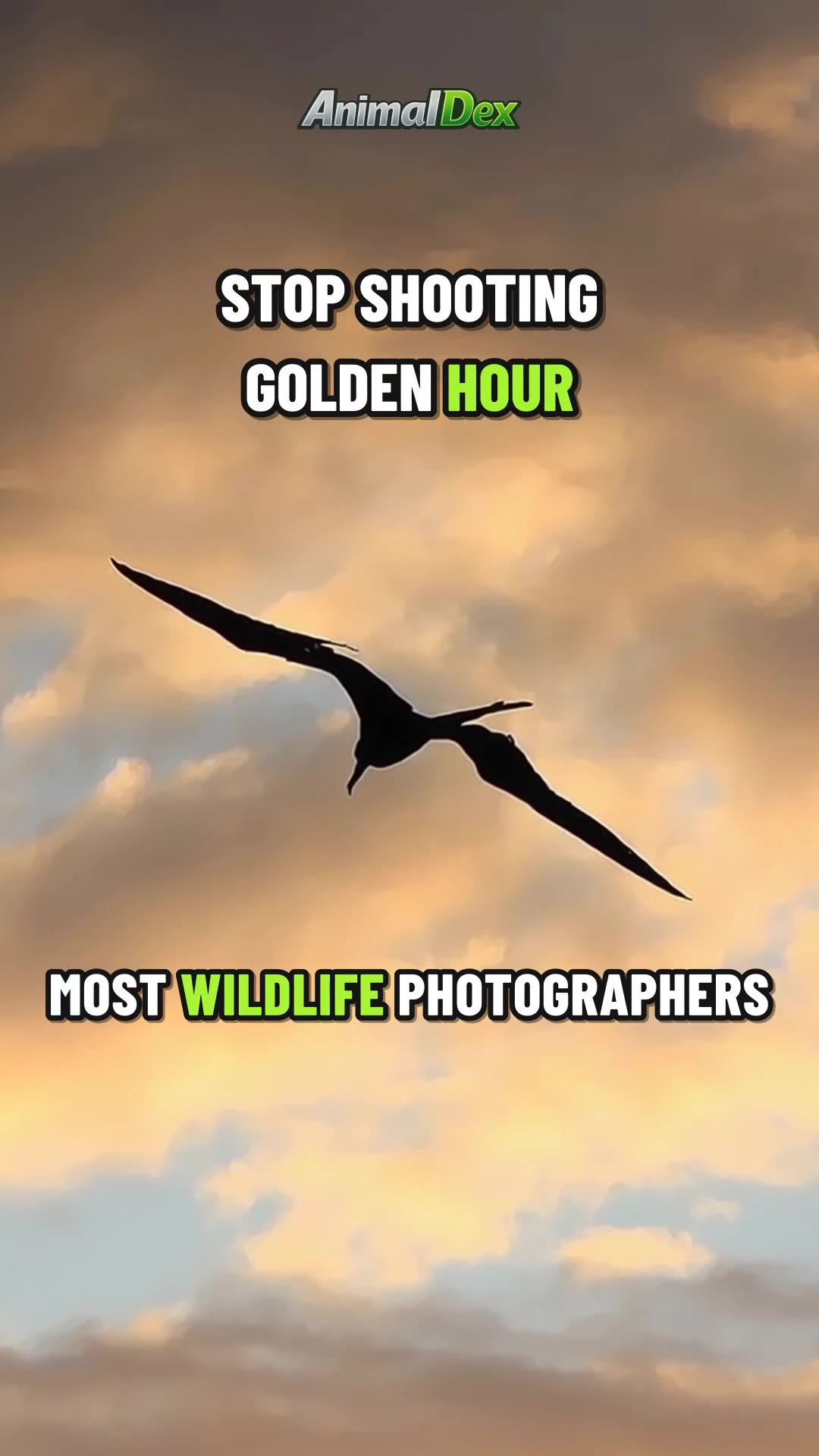 Helpless Ten Hours a Day