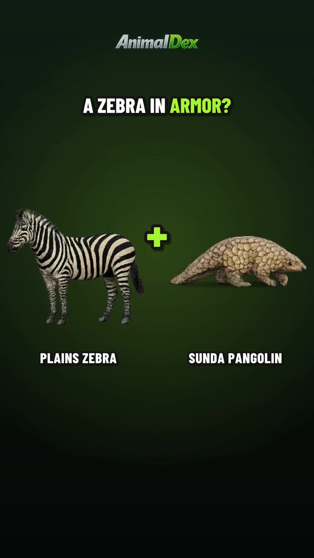 Zebra + Pangolin: The Armored Zebra With a Plan B