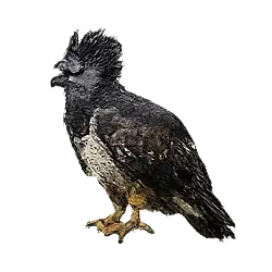 Crowned Eagle (Stephanoaetus coronatus) thumbnail image on AnimalDex