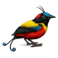 Wilson's Bird-of-paradise (Cicinnurus respublica) thumbnail image on AnimalDex